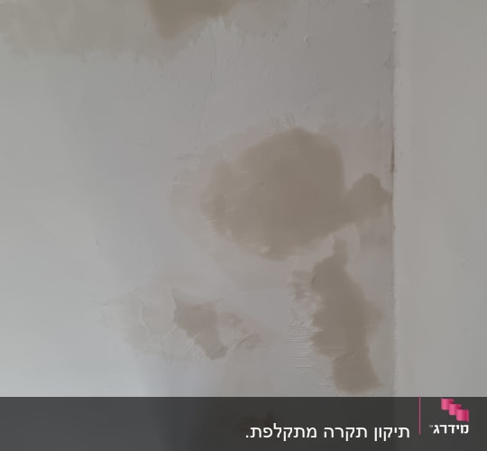 כתמי רטיבות על תקרה לבנה